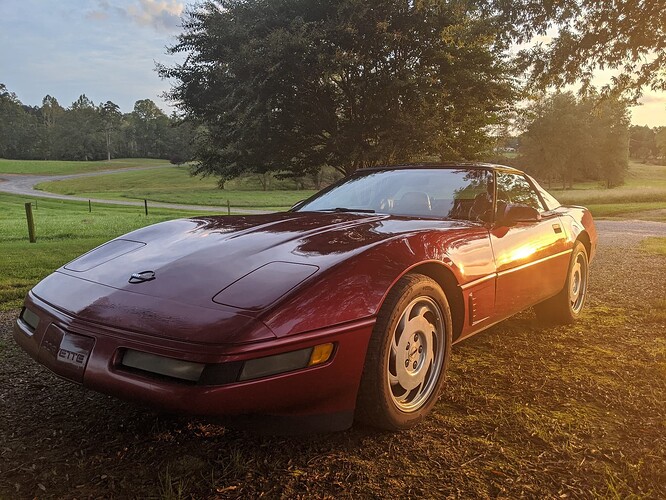 Corvette