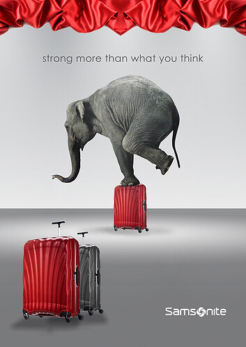 b94a3e23705441.563277324f90a